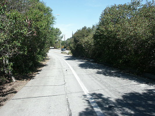 PICT0059