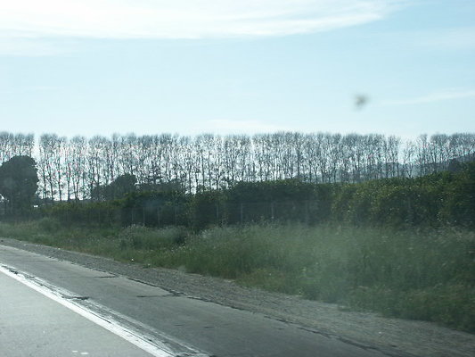 PICT0719