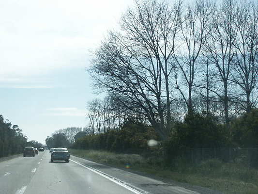 PICT0717