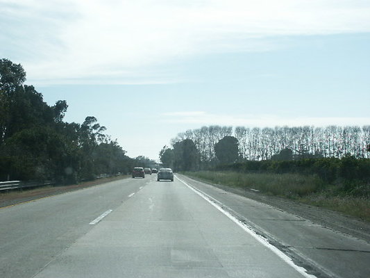 PICT0718