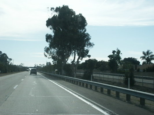 PICT0708