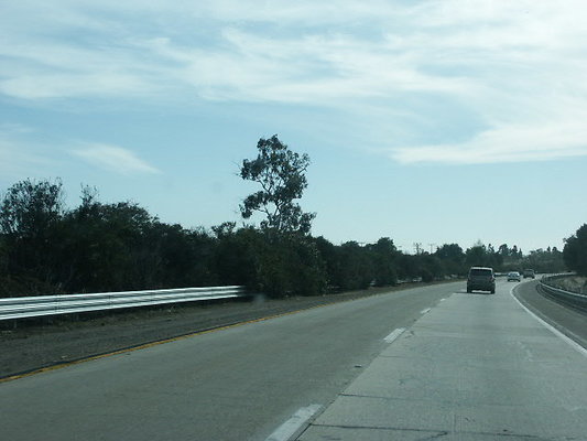 PICT0705