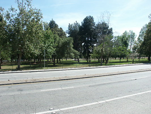 PICT0395