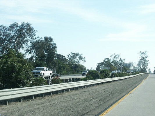 PICT0768