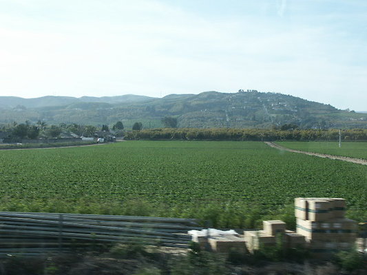 PICT0804