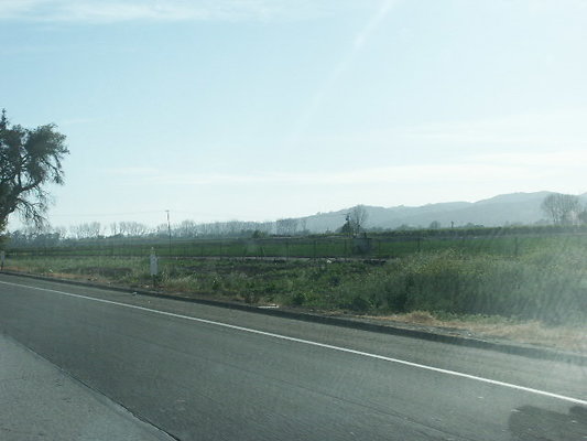 PICT0786