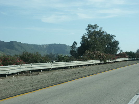 PICT0777