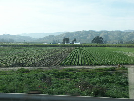 PICT0791