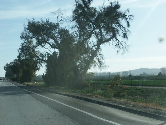 PICT0787