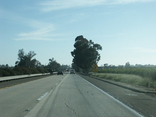 PICT0802