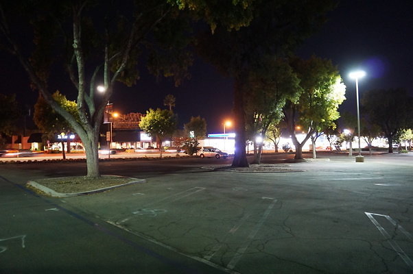 DSC05537