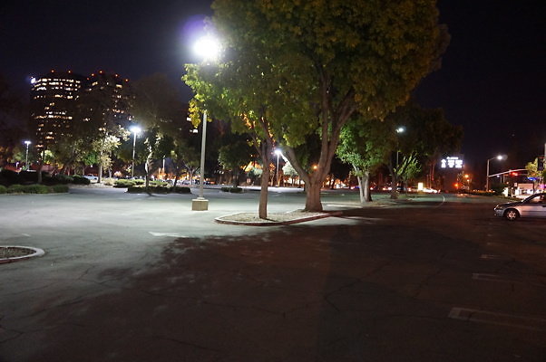 DSC05533