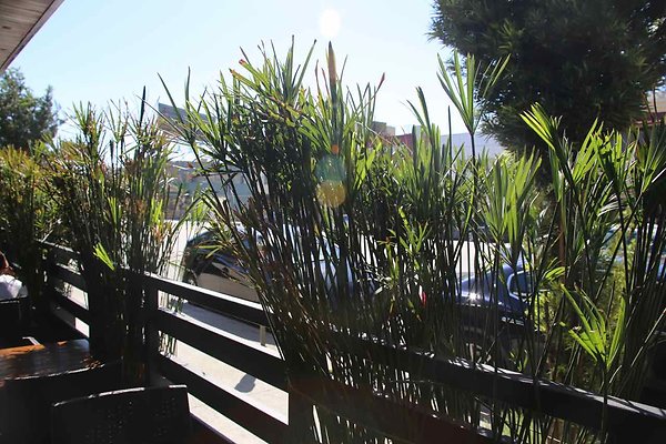 IMG 0289
