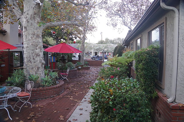 DSC03876