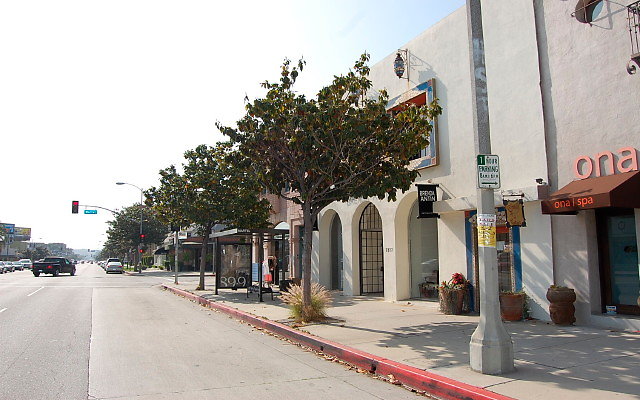 DSC 0091