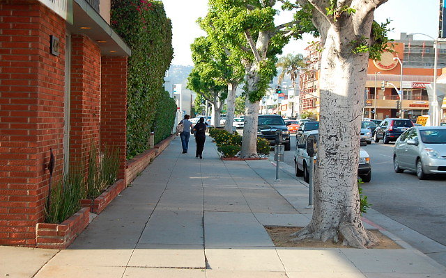 DSC 0187
