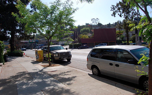 DSC 0097