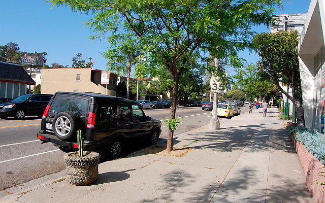 DSC 0099