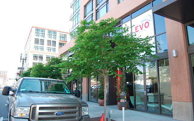 DSC 0025