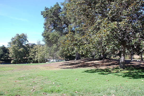 DSC 0355