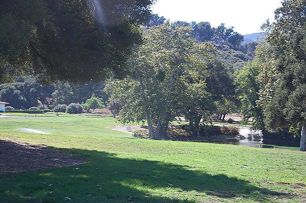 DSC 0359