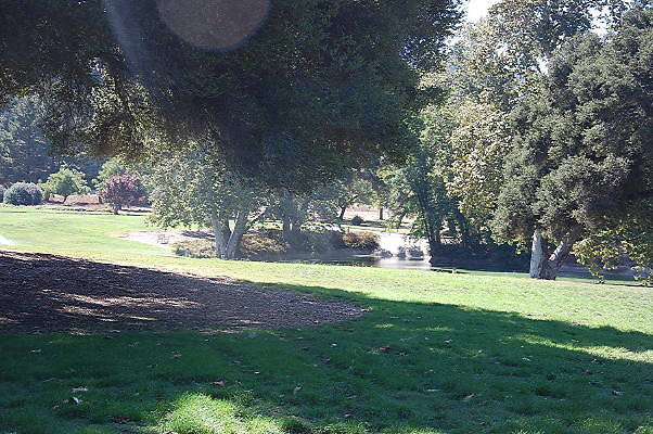 DSC 0356