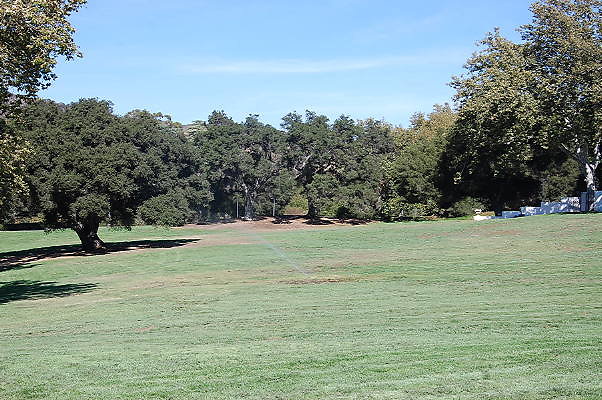 DSC 0351