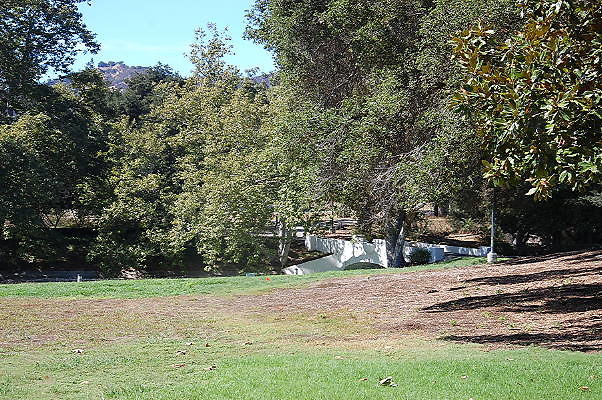 DSC 0358