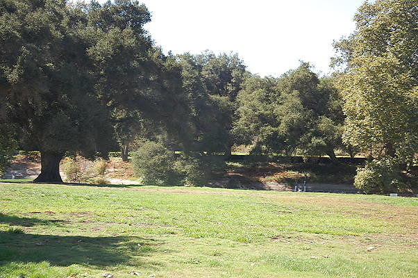DSC 0357