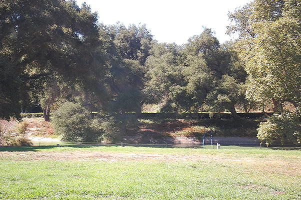 DSC 0364
