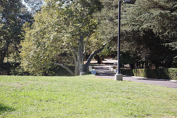 DSC 0365