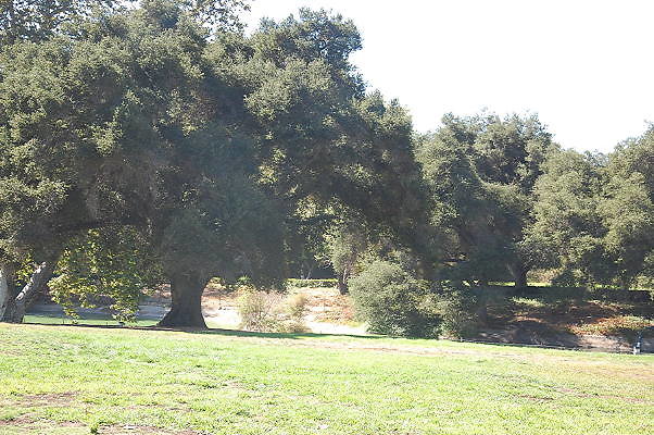 DSC 0360