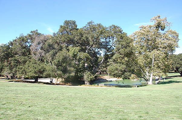 DSC 0343