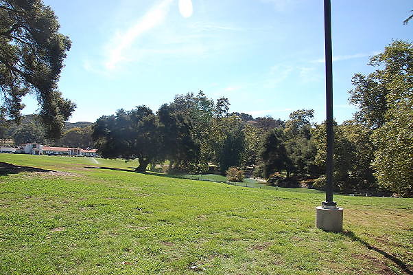 DSC 0353