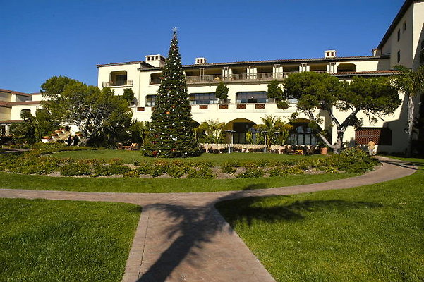 Catalina Lawn