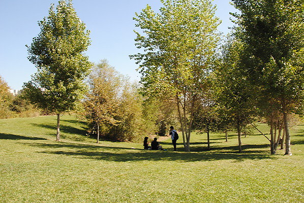 DSC 1019