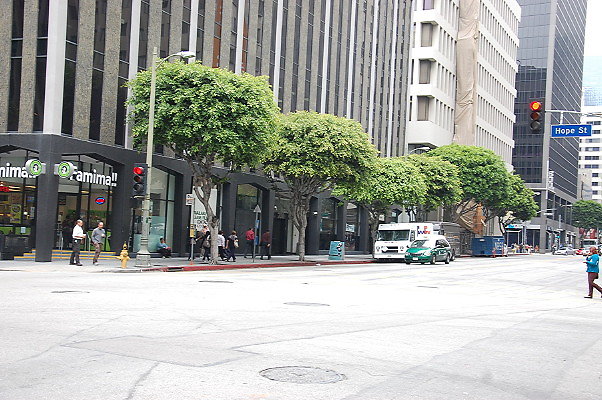DSC 0382