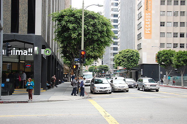 DSC 0389