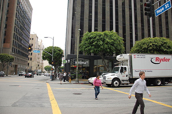DSC 0373
