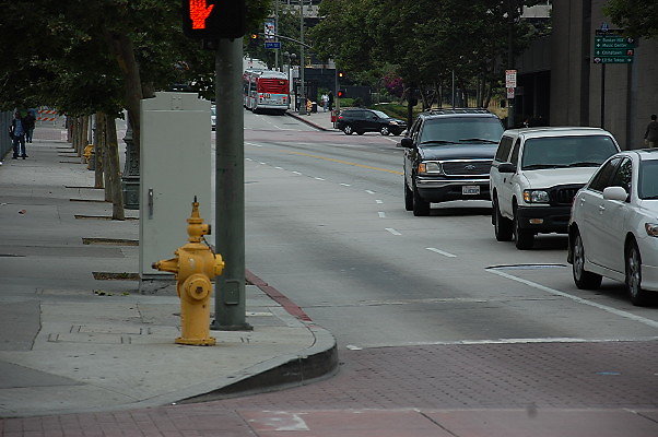 DSC 0064
