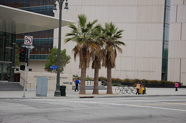 DSC 0161
