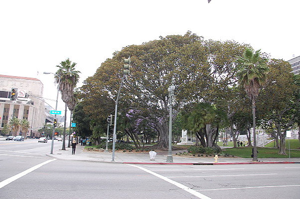 DSC 0155