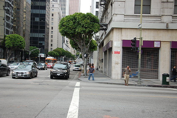 DSC 0197