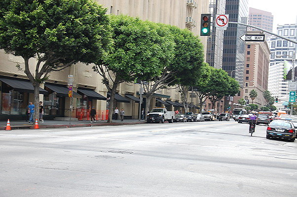 DSC 0208