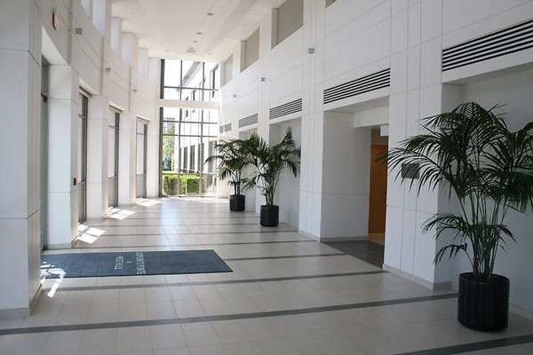 Offices.Dressed