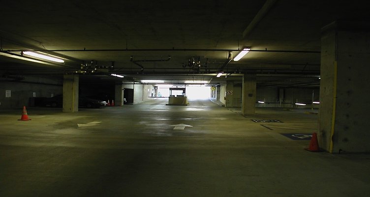 DSCN0220