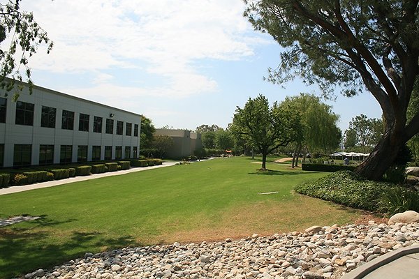 IMG 7216