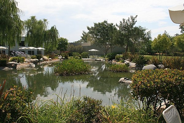 IMG 7206
