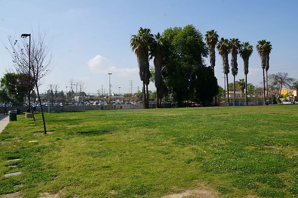 DSC00307