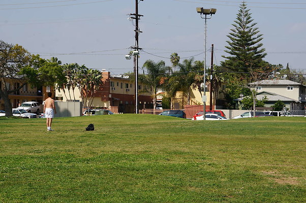 DSC00310